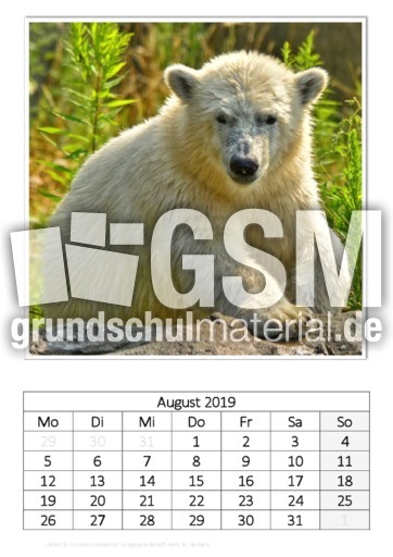 August_Eisbär_2.pdf